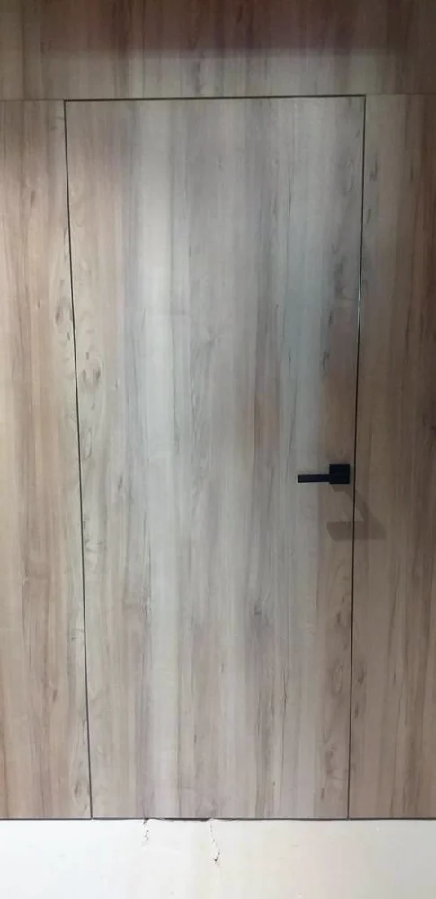 MDF-clad wall with a built-in Filomuro door